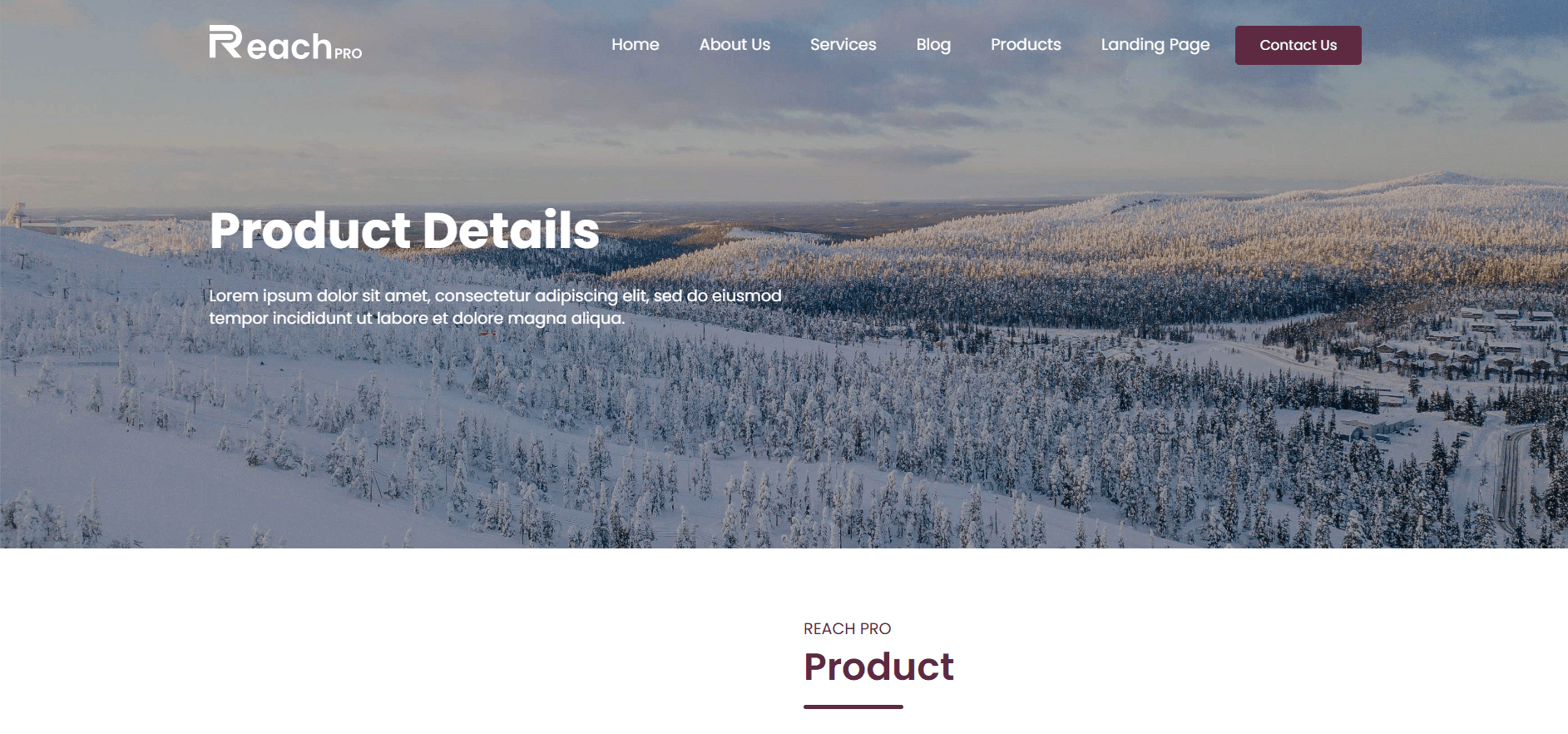 Product Details