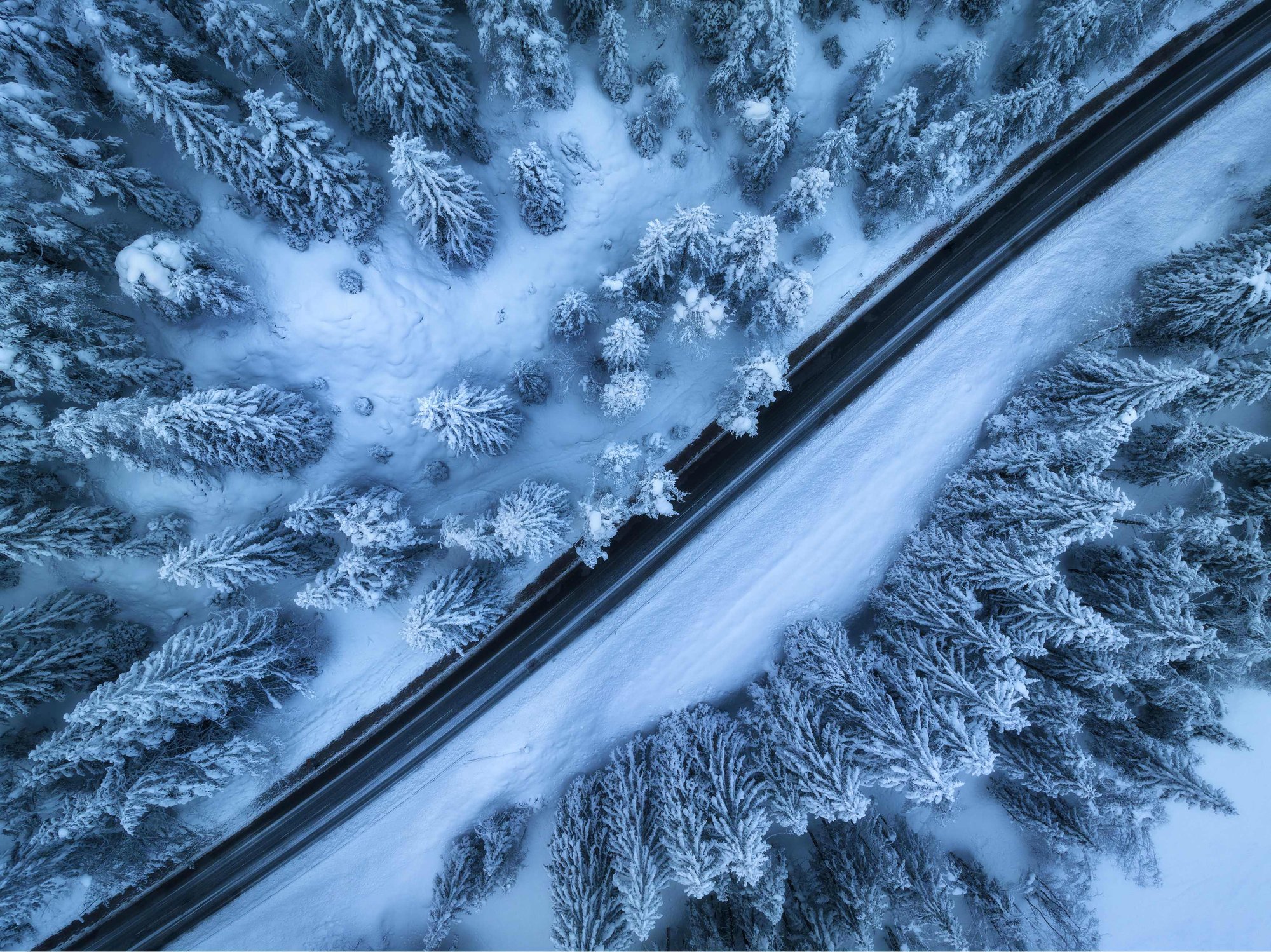 Snow Road