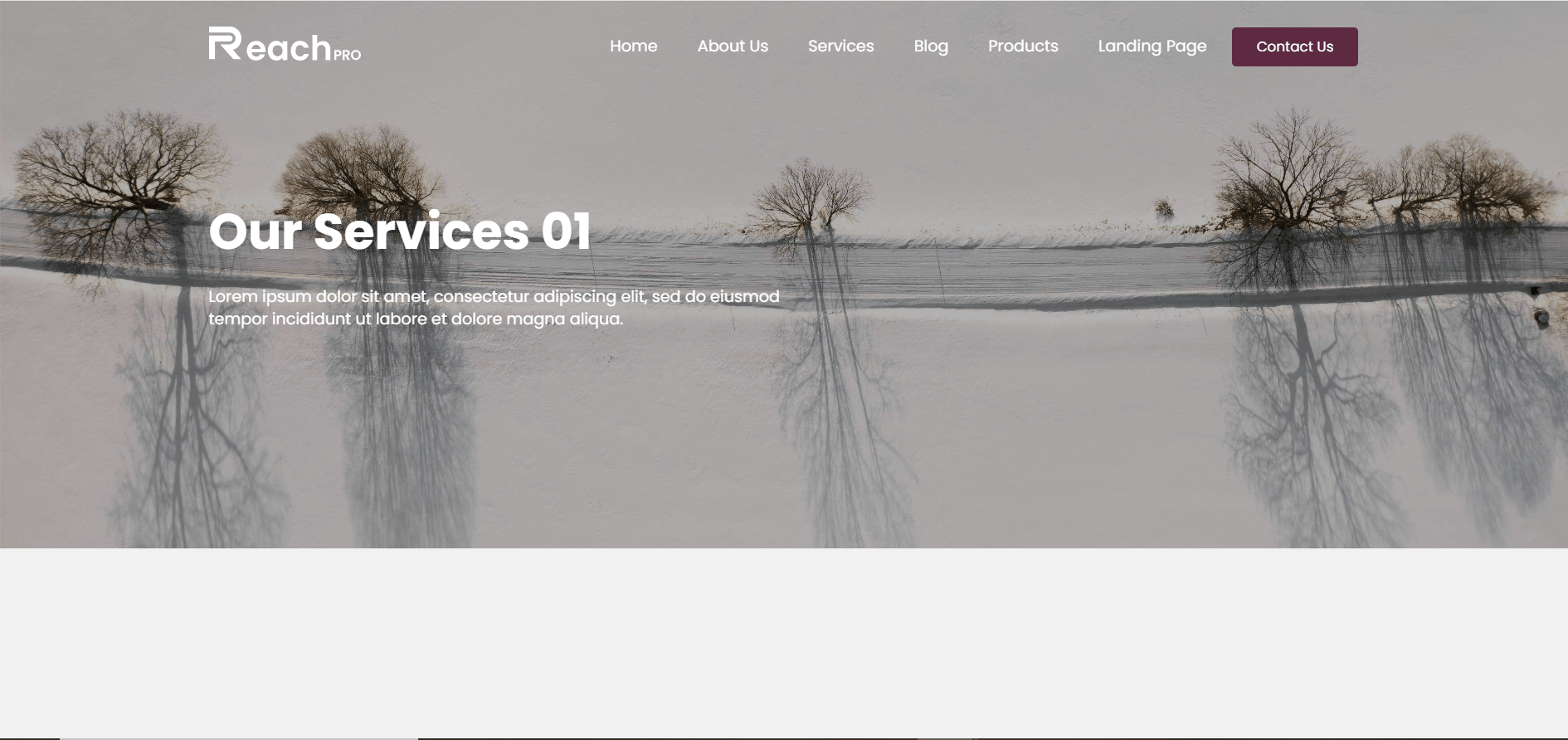 Services 1